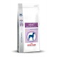 Royal Canin Adult Giant Dog (plus de 45kg)