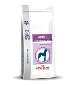 Royal Canin Adult Giant Dog (plus de 45kg) - Croquettes 