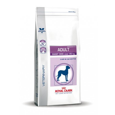 Royal Canin Adult Giant Dog (plus de 45kg)