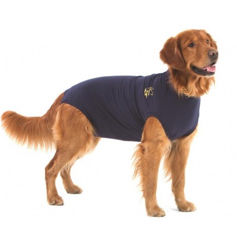 Medical Pet Shirt Gilet De Protection Pour Chiens Mps Direct Vet