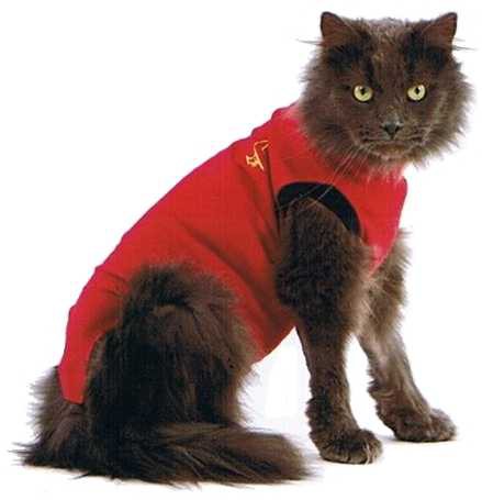 Medical Pet Shirt Gilet De Protection Pour Chats Mps Direct Vet