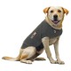Thundershirt - T.Shirt contre l'anxiété pour chien