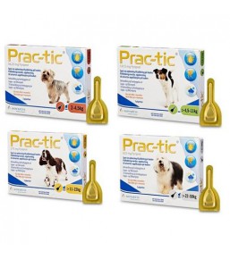 Prac-tic - Pipettes anti-puces et anti-tiques pour chien