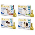 Prac-tic - Pipettes anti-puces et anti-tiques pour chien