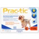 Prac-tic - pipettes anti-puce et anti-tiques pour chiens