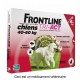 Frontline Tri-Act - Pipettes antipuces et antitiques