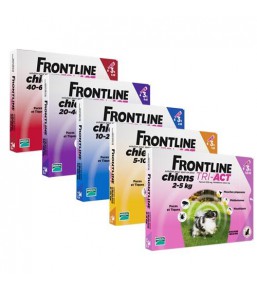 Frontline Tri-Act - Pipettes antipuces et antitiques