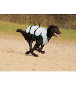 Manteau Rafraichissant pour chien DRY Cooling Vest