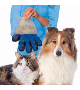 Gant de brossage / toilettage pour chats et chiens