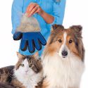 Gant de brossage / toilettage pour chats et chiens