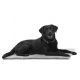 Kruuse Vet Bed Antislip - Tapis pour chien et chat antidérapant