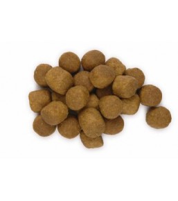Science Plan Canine Adult Advanced Fitness Large Breed Lamb&Rice