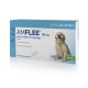 Amflee Spot-On - Pipettes anti-tiques, puces et poux pour chiens