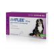 Amflee Spot-On - Pipettes anti-tiques, puces et poux pour chiens