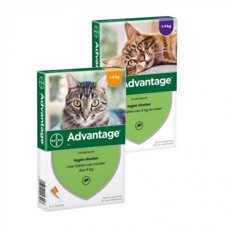 Advantage™ - Pipettes anti-puces pour chats - Bayer / Direct-Vet