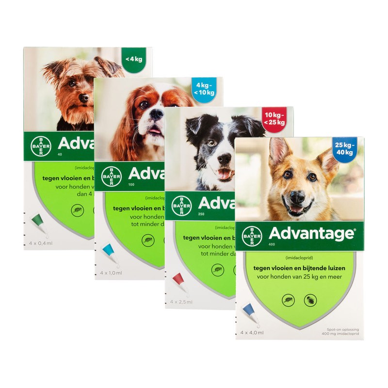 Advantage Pipettes Anti Puces Pour Chiens Bayer Direct Vet
