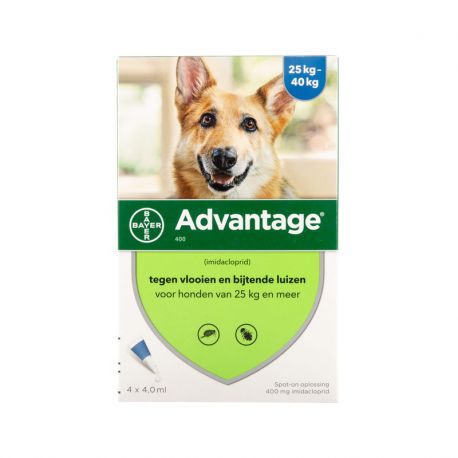 Advantage 400 grand chien x4