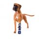 Medical PetS Boot – Chausson de protection pour chien