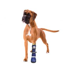 Chausson chien antidérapant deals