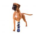 Medical PetS Boot – Chausson de protection pour chien