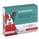 Anthelmex - petit ou moyen chien - x2 cp