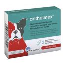 Anthelmex (Forte) - Vermifuge pour chien