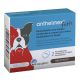 Anthelmex Forte - Grand chien - x2 cp