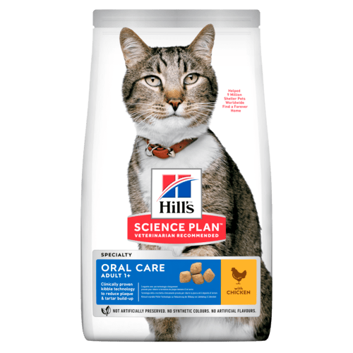 Hill