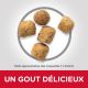 Science Plan Chat Adult Light au Poulet - Croquettes