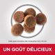 Science Plan Puppy Large Breed Poulet - Croquettes pour chiot