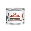 Royal Canin Recovery - Boîtes