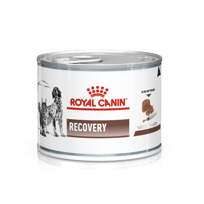 Royal Canin Patee Recovery Pour Chiens Et Chats Direct Vet