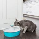 Fontaine à eau papillon Drinkwell pour chat ou petit chien de Petsafe