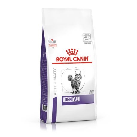 Royal Canin Dental chat - Croquettes