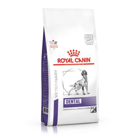 Royal Canin Dental Chien plus de 10kg - Croquettes