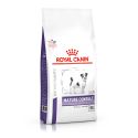 Royal Canin Senior Consult Mature Small Dog (jusqu'à 10 kg) - Croquettes pour chien 