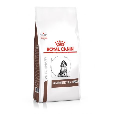 Royal Canin Gastro Intestinal Junior Chien - Croquettes