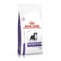 Royal Canin Junior Neutered Large Dog (plus de 25 kg) - Croquettes