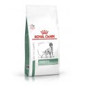 Royal Canin Diabetic chien - Croquettes