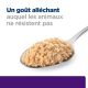 Hill's Prescription Diet U/D Canine (boîte) 12x370 g