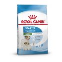 Royal Canin Starter Mother & Babydog Mini (moins de 10 kg) - Croquettes pour chiot 