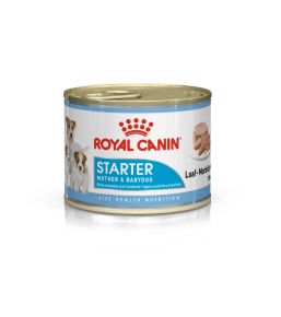 Royal Canin Starter Mother & Babydog Mousse - Boites