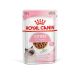 Royal Canin Pediatric Growth chaton - Sachets fraîcheurs