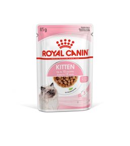 Royal Canin Pediatric Growth chaton - Sachets fraîcheurs