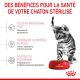 Royal Canin Kitten Sterilised - Croquettes pour chaton stérilisé