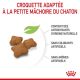 Royal Canin Kitten Sterilised - Croquettes pour chaton stérilisé