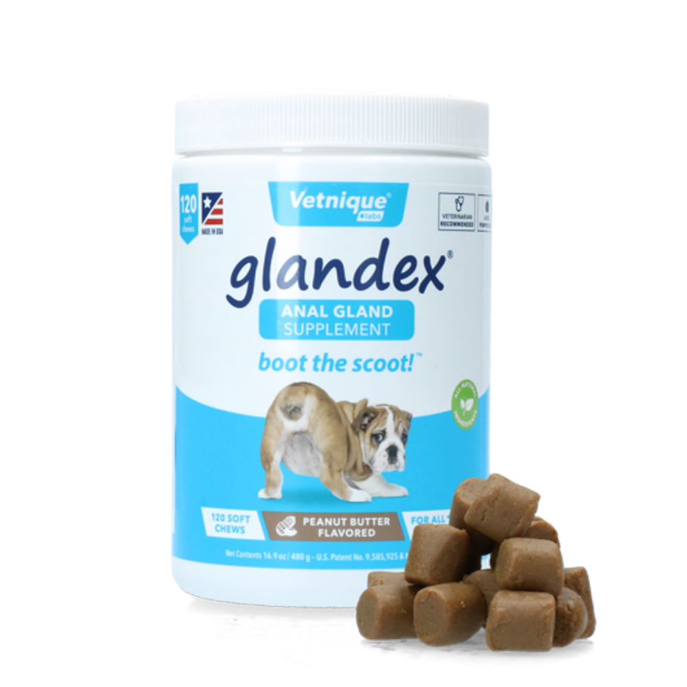 à mâcher pour chien pour maintenir les glandes anales en bonne santé