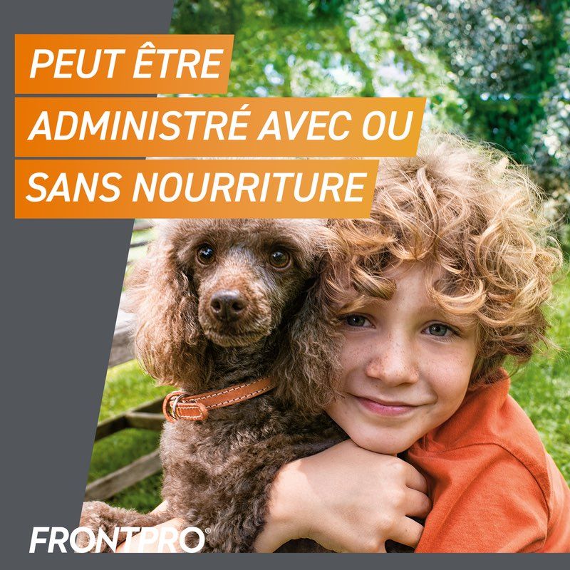 Frontpro™ - Comprimés anti-puces et anti-tiques pour chien - Boehringer  Ingelheim / Direct-Vet