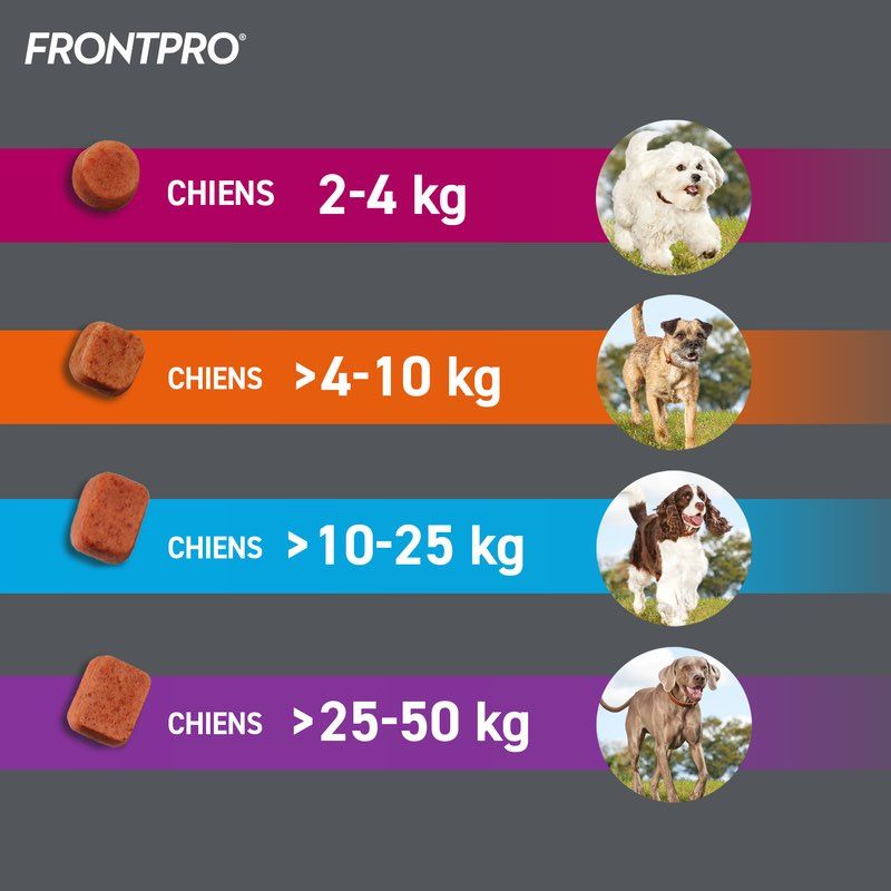 Frontpro™ - Comprimés anti-puces et anti-tiques pour chien - Boehringer  Ingelheim / Direct-Vet