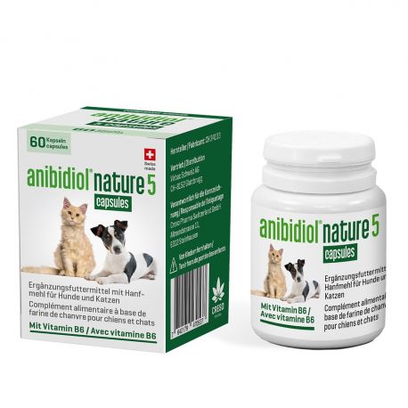 CBD pour animaux (chien, chat, cheval) : que dit la science ?